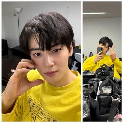 Cha Eun-woo Updates Fans with V Gesture, Park Myung-soo Reacts - OUR K-POP