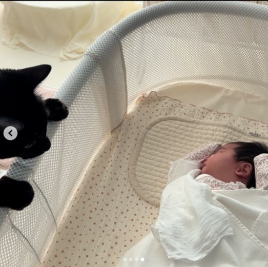 Park Soo-hong and Kim Da-ye introduce their newborn daughter to their pet cat in a heartwarming family moment shared on social media. - OUR K-POP