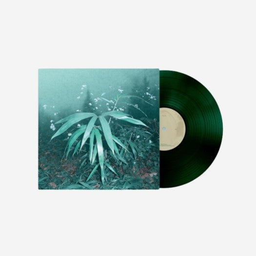 Shin Haegyeong In Dreams, In Dreams Limited Edition Clear Green LP