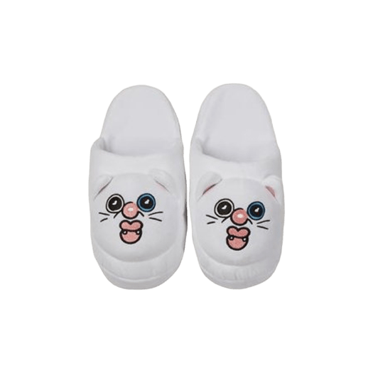 Bbangbbang Bbungbbangi Super Warm Slippers - OUR K - POP