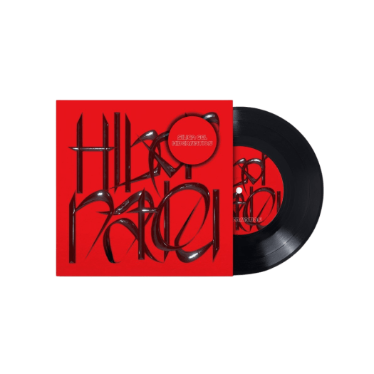 Silica Gel Single Album Hibernation 7 Inch Budxbeats Limited Edition LP Black - OUR K - POP